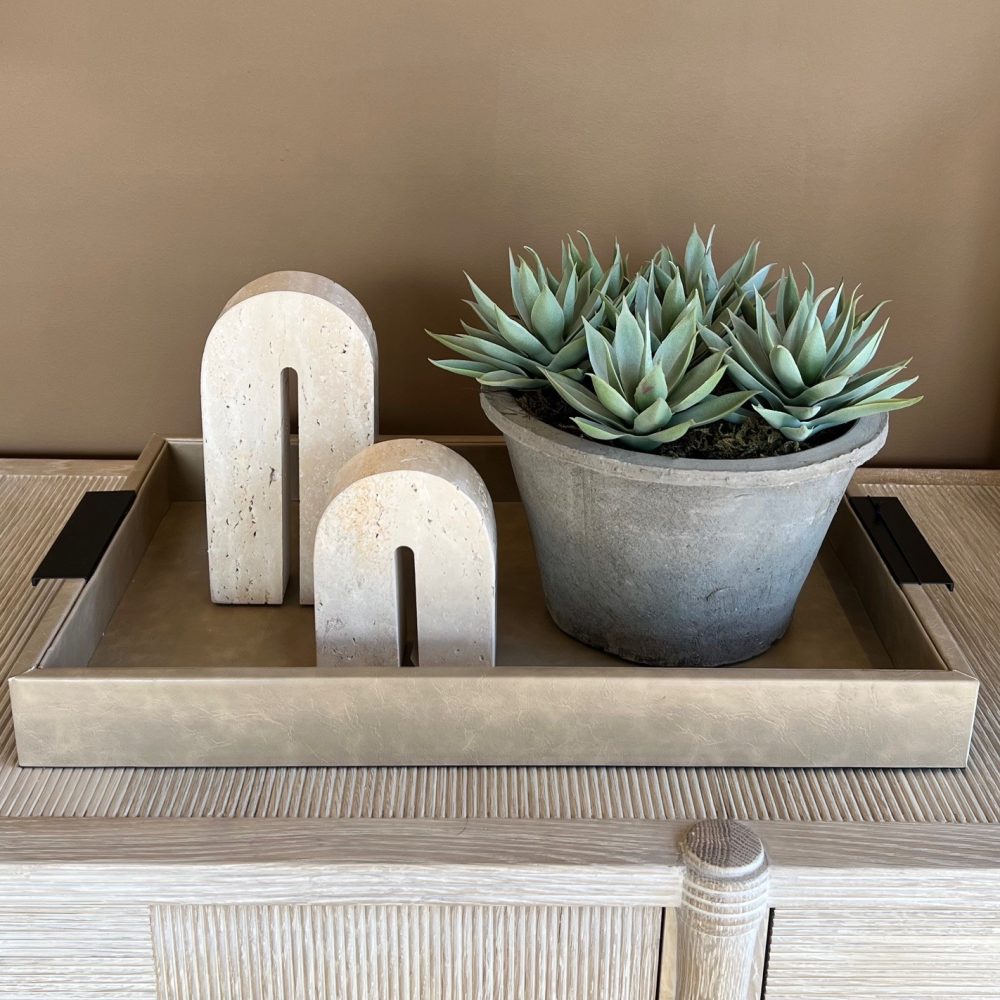 Sempervivum Succulent in Rustic Grey Pot