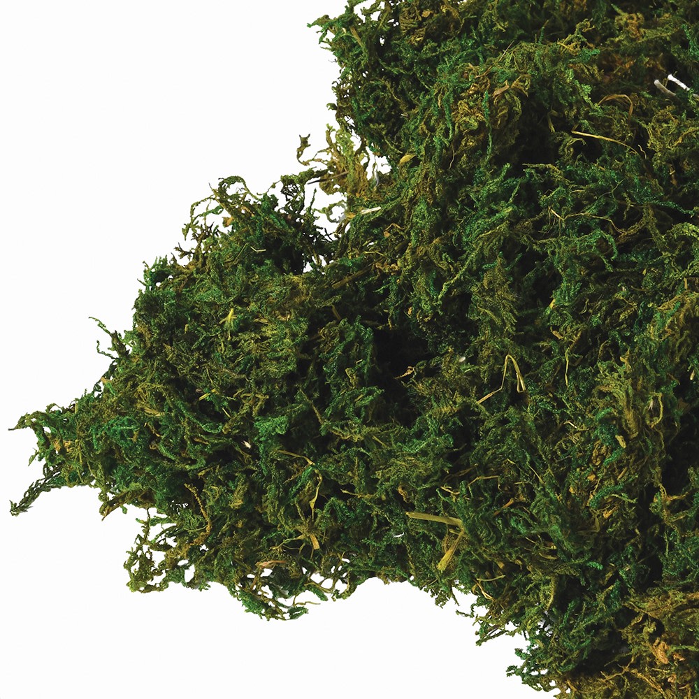 Bag of Real Natural Moss