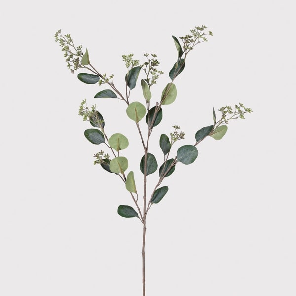 Eucalyptus Seeds Spray